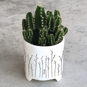 Small Ceramic Planter - Bloom