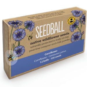 Large Seed Box - Cornflower