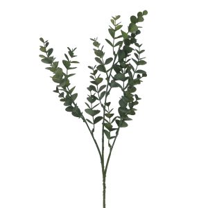 Mini Eucalyptus Pick 48cm