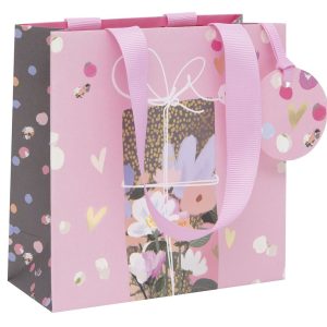 Small Bag Present