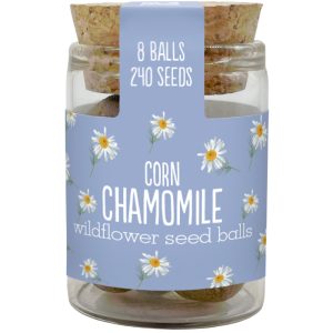 Chamomile Mini Jar