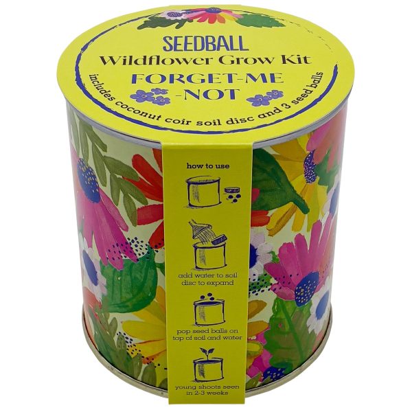Wildflower Grow Kit Forget Me Not
