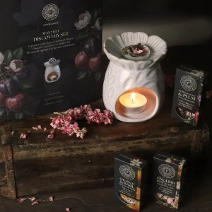 Wax Melt Discovery Set