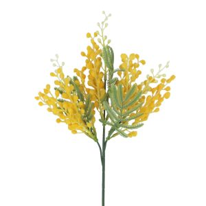 Mimosa Mini Bunch