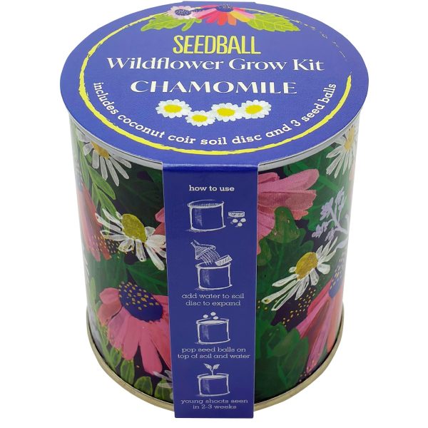 Wildflower Grow Kit Chamomile