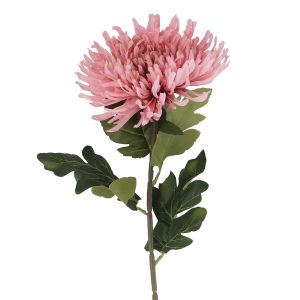 Stem 75cm - Pink Giant Chrysanthemum