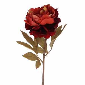 Flower 80cm - Antique Red Single Peony