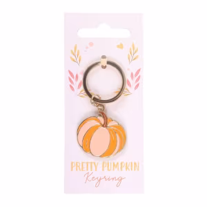 Pretty Pumpkin Autumn Keyring