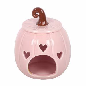 Pink Curly Pumpkin Autumn Oil Burner